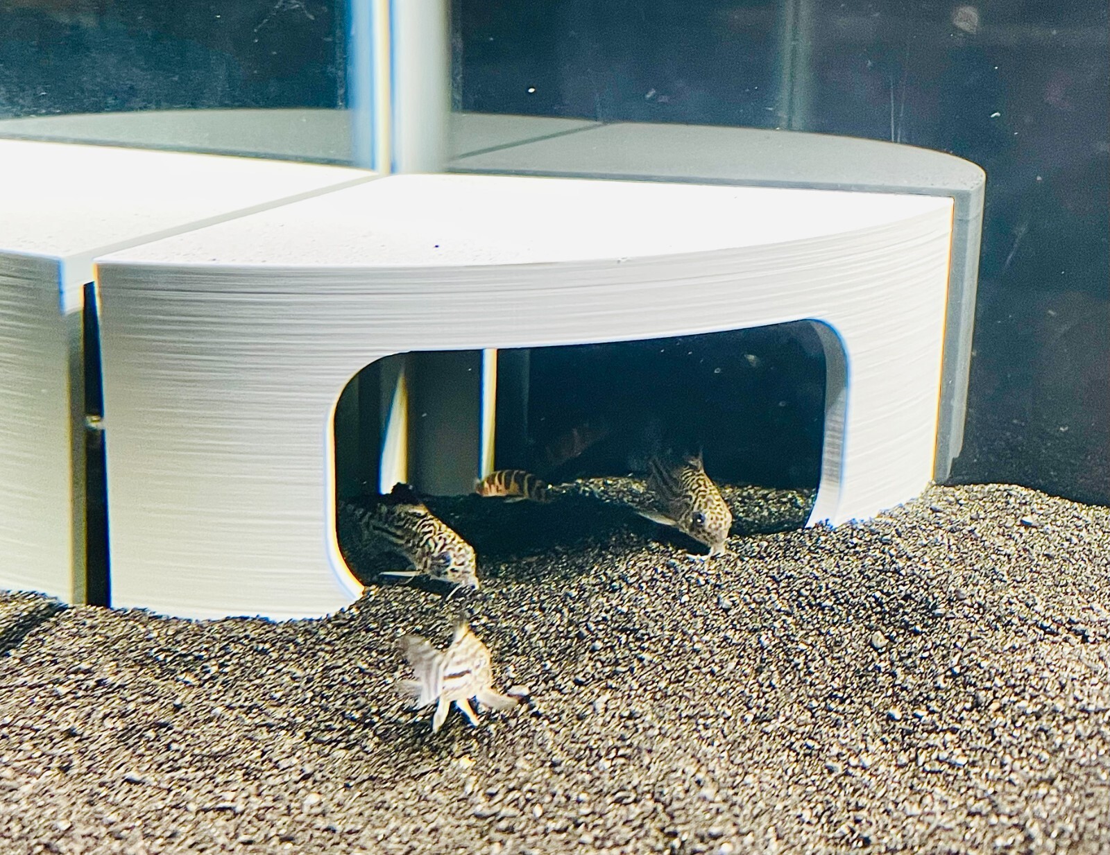 Aquarium Cave Corner Fish Tank Decorations Ornament Cichlid Axolotl Hide