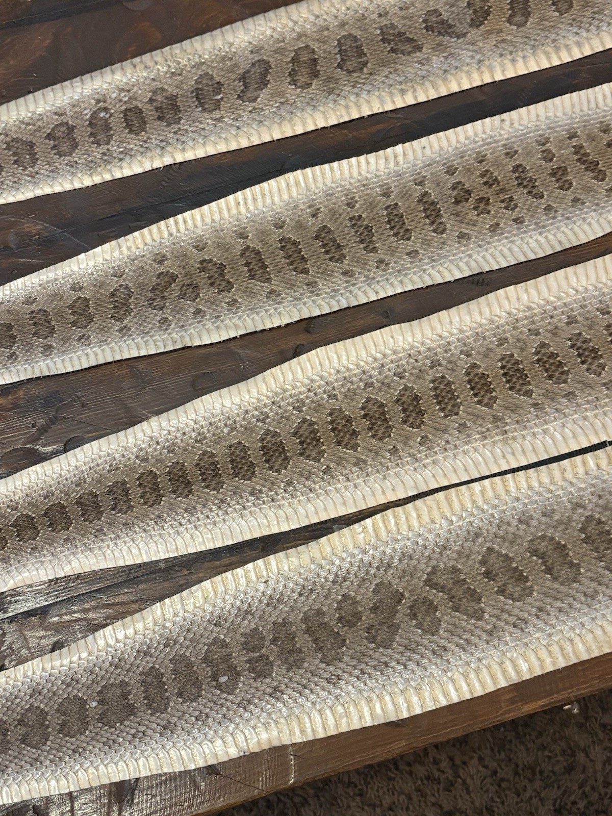 Prairie Rattlesnake Tanned Skins, Measuring 34", 40". 32.5" & 34"