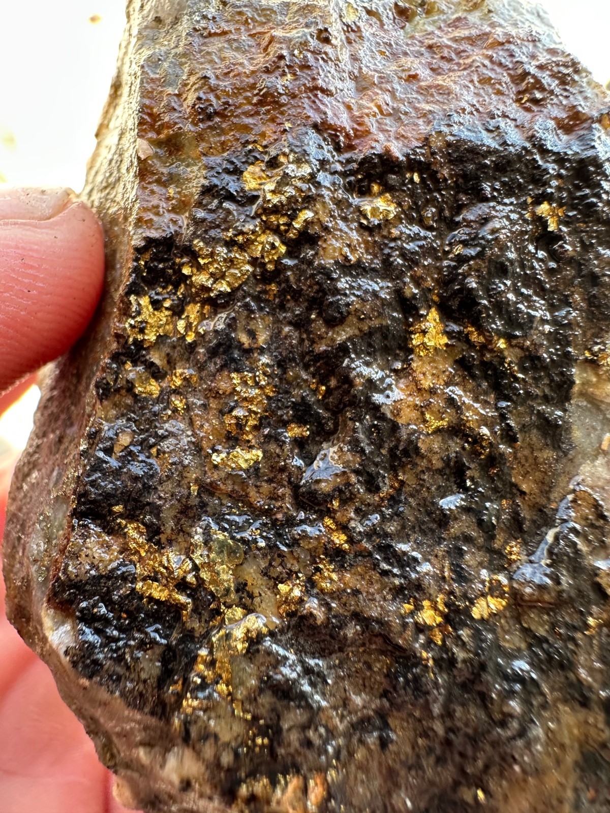 GOLD ORE SAMPLE SPECIMENS 1.5 lbs