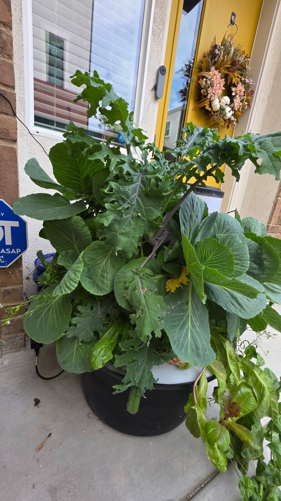 hydroponic vertical tower growing system-2025