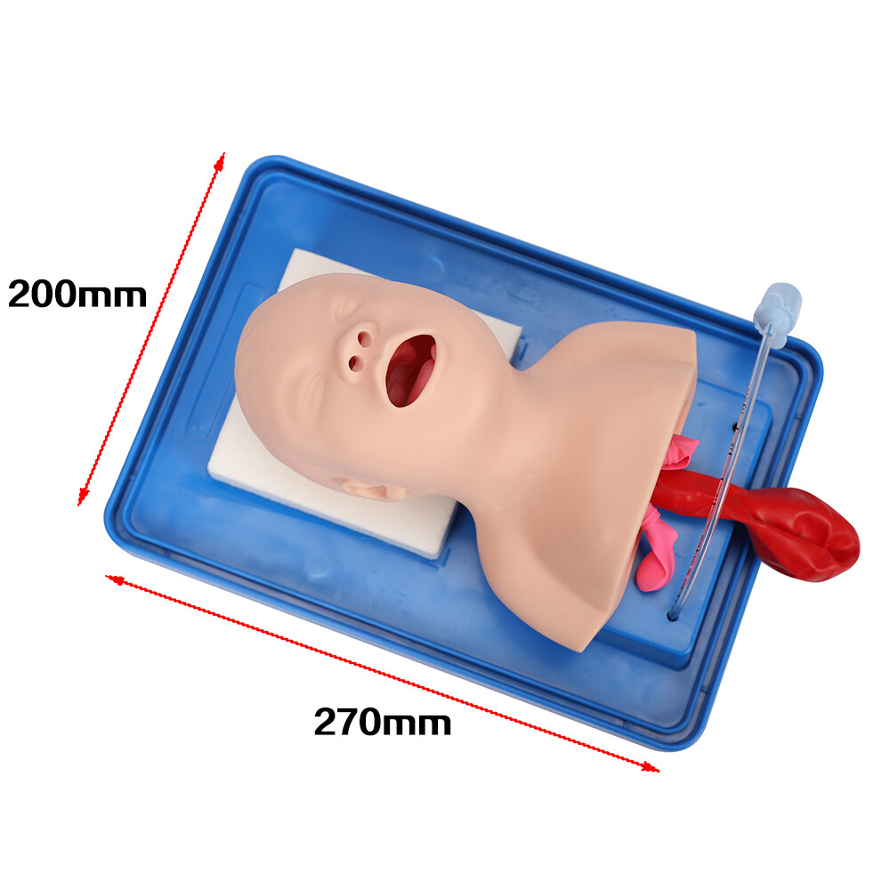 Intubation Manikin Study Baby Infant Teaching Airway Management Trainer Model