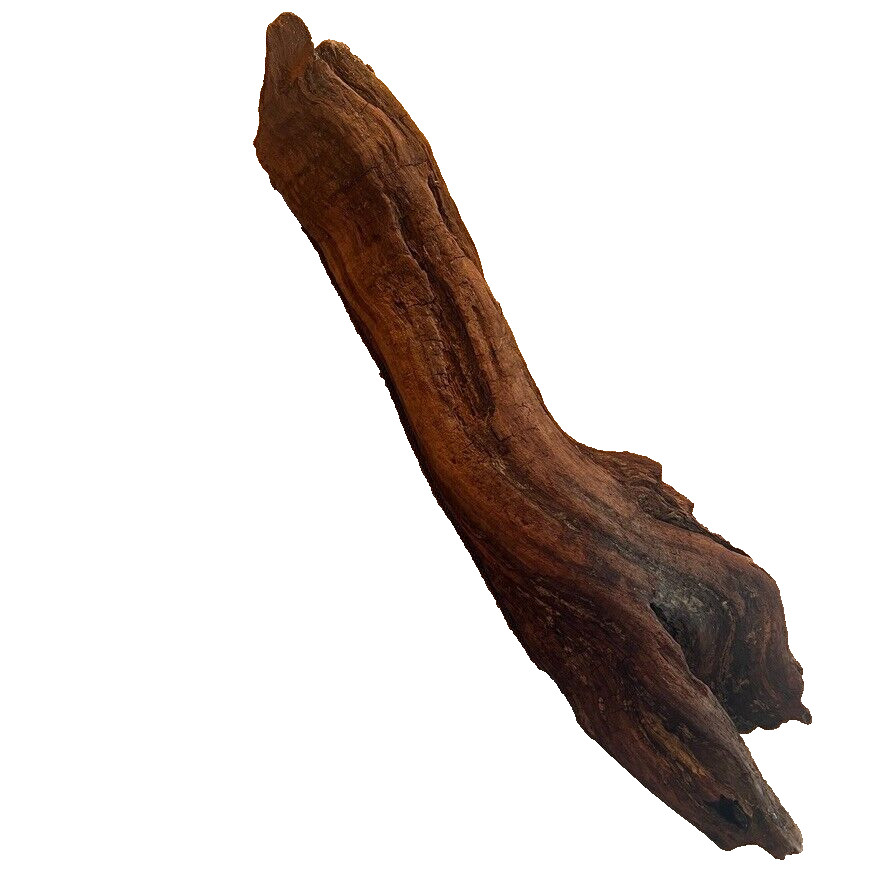 18" x 5" Redwood Driftwood Organic Craft Aquarium Rustic Boho Natural Wood