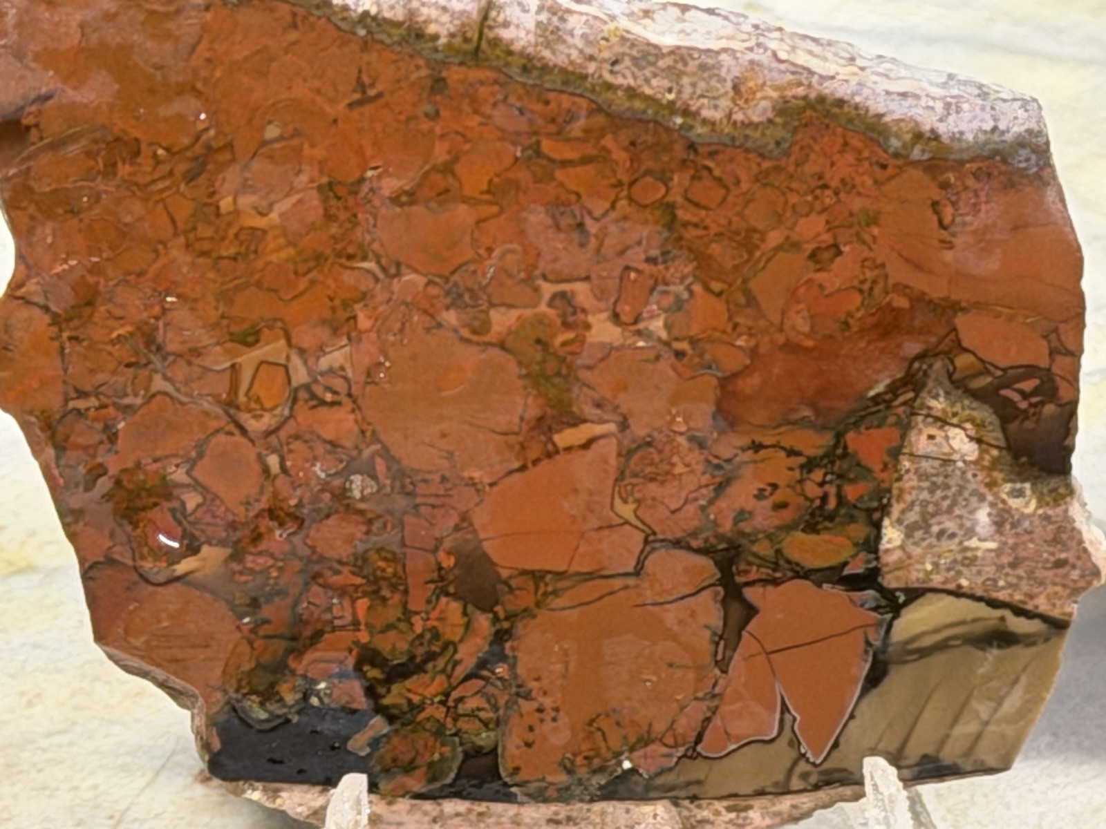 Whiskey Creek Jasper Slab Set , Lot#304