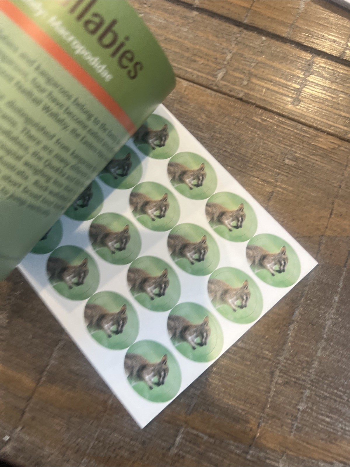 Lot Of 6: Australia Prestige: Dogs, Dangerous Aussies, Wallabies, Birds, Etc.