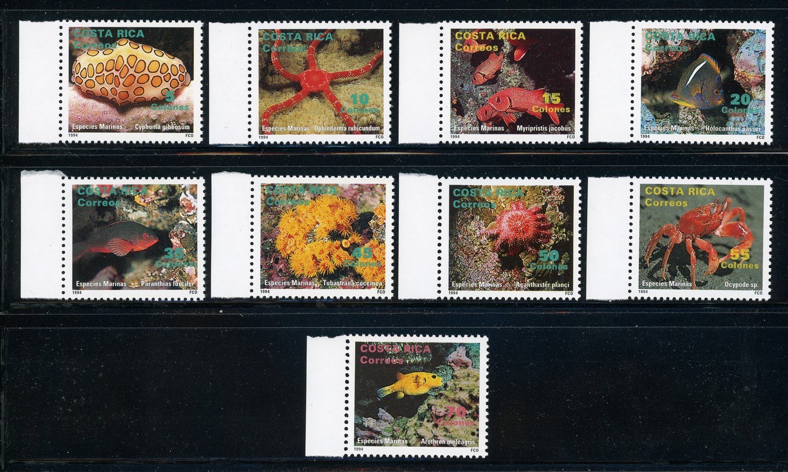 COSTA RICA MNH: Scott #466-474 Marine Life Starfish FAUNA #2 CV$29+