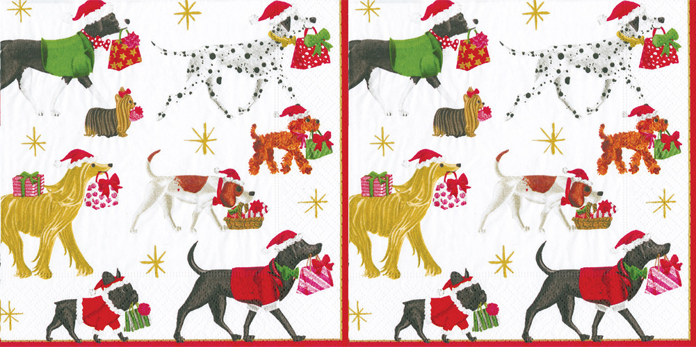 Caspari 3-Ply Paper Cocktail Napkins, Different Patterns - 2 Packs, 40 Napkins