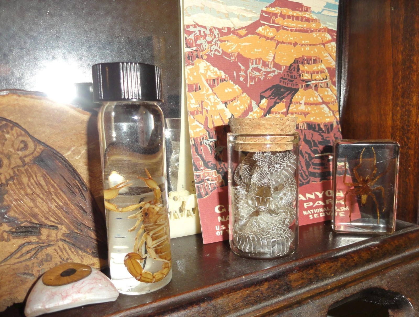 Snake Skin Small Oddity Jar curiosity glass vial reptile goth nature art