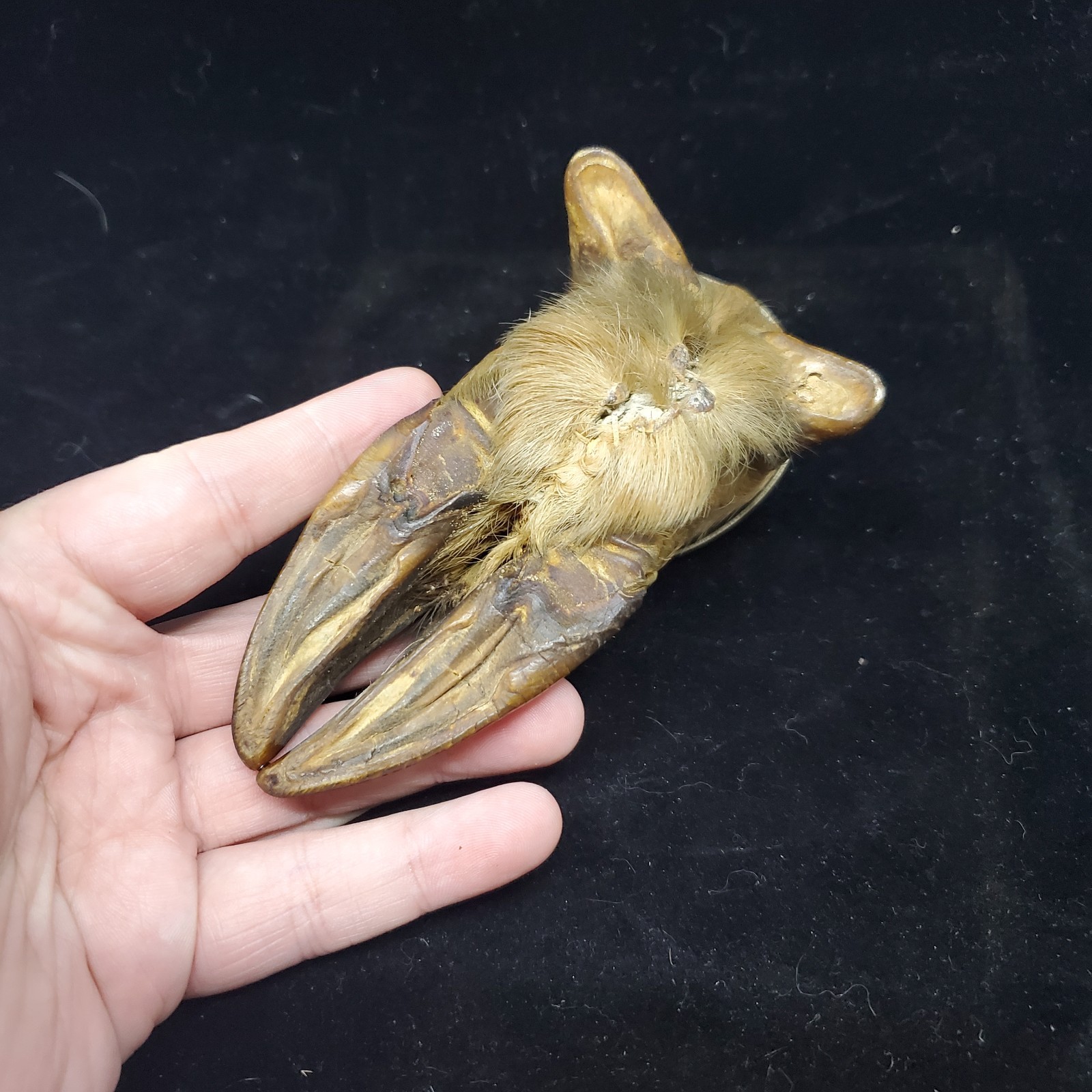 Vintage Adirondack Deer Split Hoof Taxidermy Inkwell Holder Rustic Camp Decor