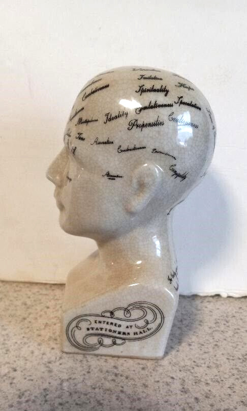 PHRENOLOGY HEAD MEDICAL BUST SCIENTIFIC PORCELAIN 6 INCH NEW