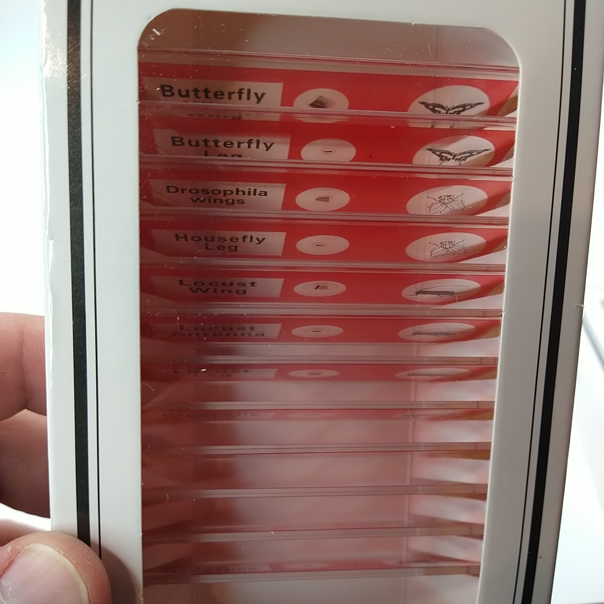 48Pcs Prepared Microscope Slides Specimen Animals Insects Plants Flowers Sample