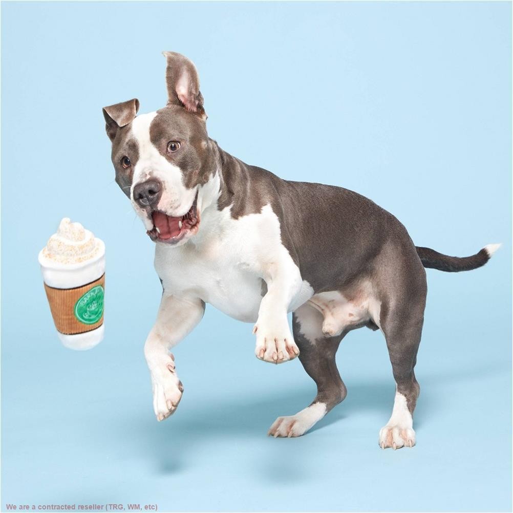 BARK Bark Brew Coffee Cup Dog Toy *SEE DEAL!!!*