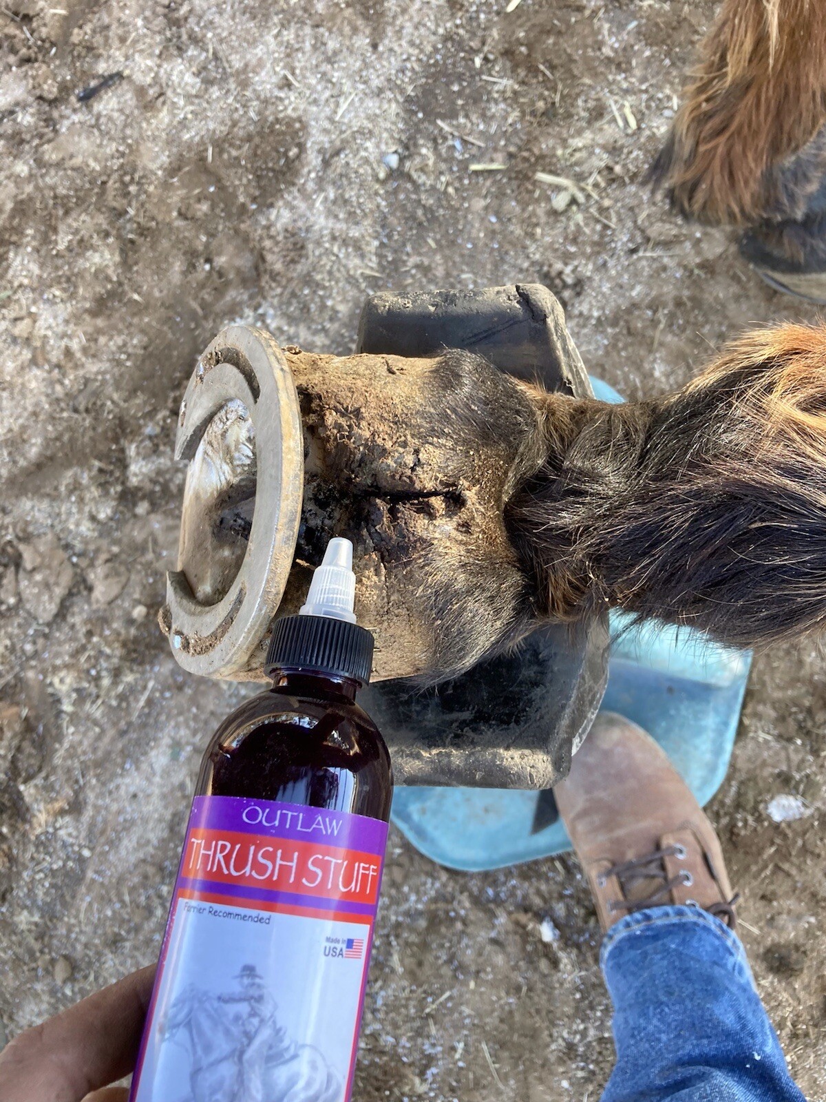 NEW 3 PACK!! Outlaw Thrush Stuff Treatment For Horses Hoofs And Abscesses Care