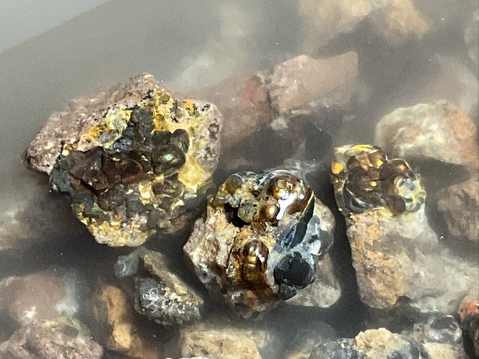 1/4 Pound Fire Agate Choice & Mid Grade Professionally Chosen Colorful Rough Lot