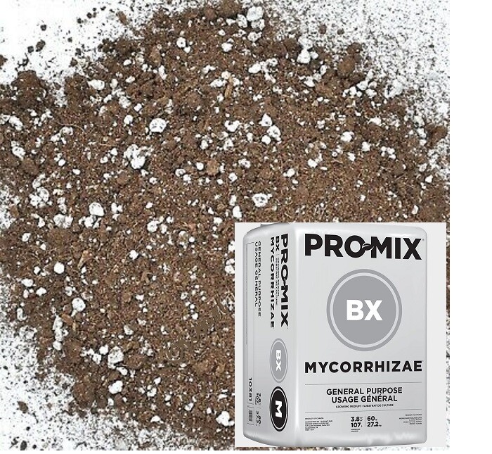 Pro-Mix BX Potting Mix Seed Germination Soilless Growing Media Mycorrhizae FAST
