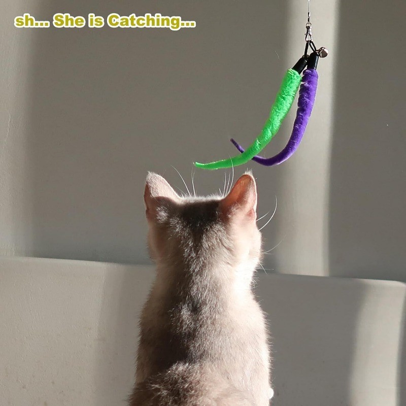 Interactive Cat Toys Retractable Wand Toy and Feather Toy Refills for Indoor Cat