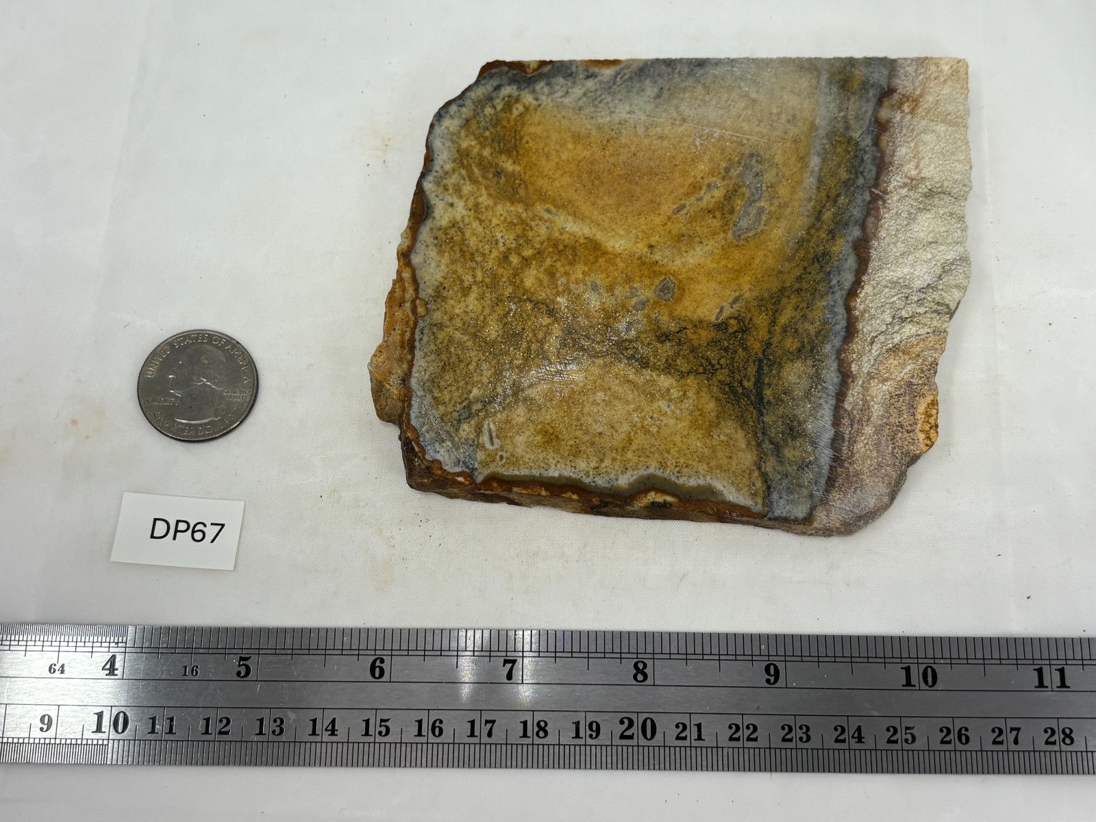 Disaster Peak Picture Jasper Slab Cabbing Lapidary Collecting Combo Ship Avail