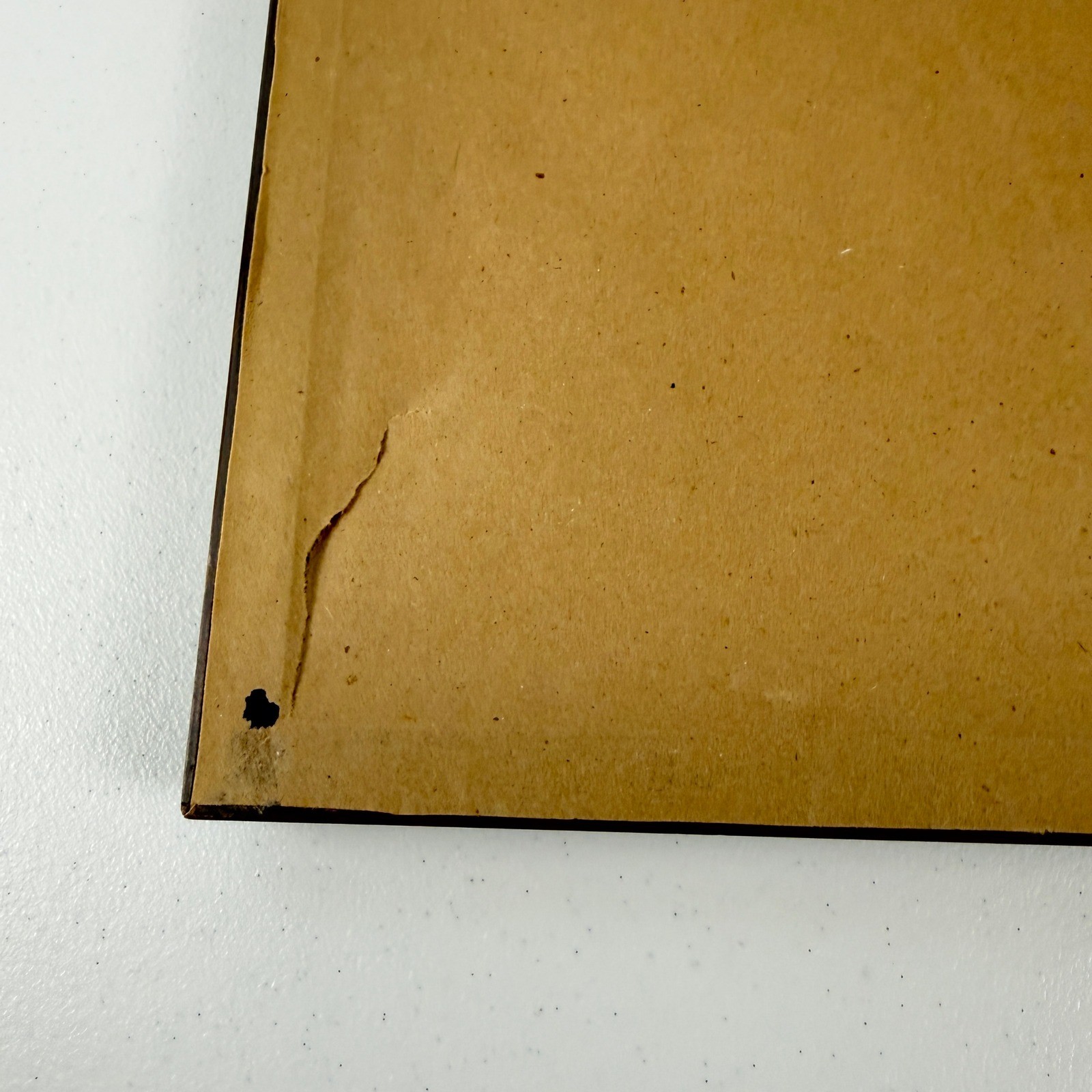 Antique 1901 Yale Boola Framed Sheet Music Art Nouveau Ivy Decor Music Office