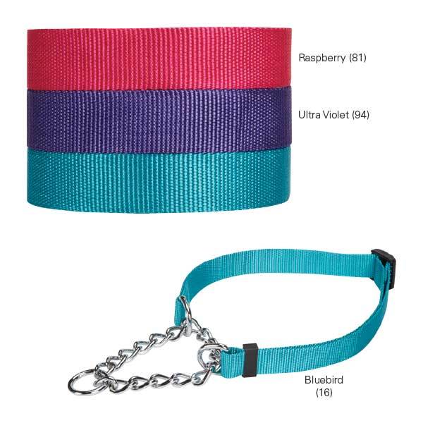 Guardian Gear Dog Martingale Chain Nylon Collar Adjustable Small Medium Large