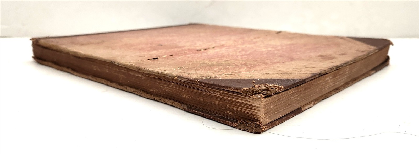 1883 antique SEAWEED pressed ALBUM monterey ca EUGENIE PHILLIPS specimen book