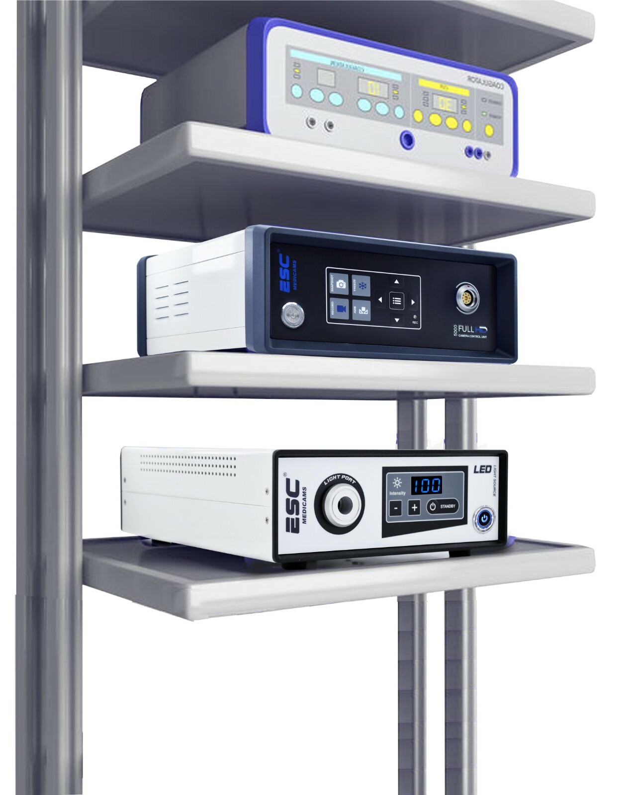 Portable Cold LED Light Source 80W with Fiber Optic for Medical Endoscopy Camera