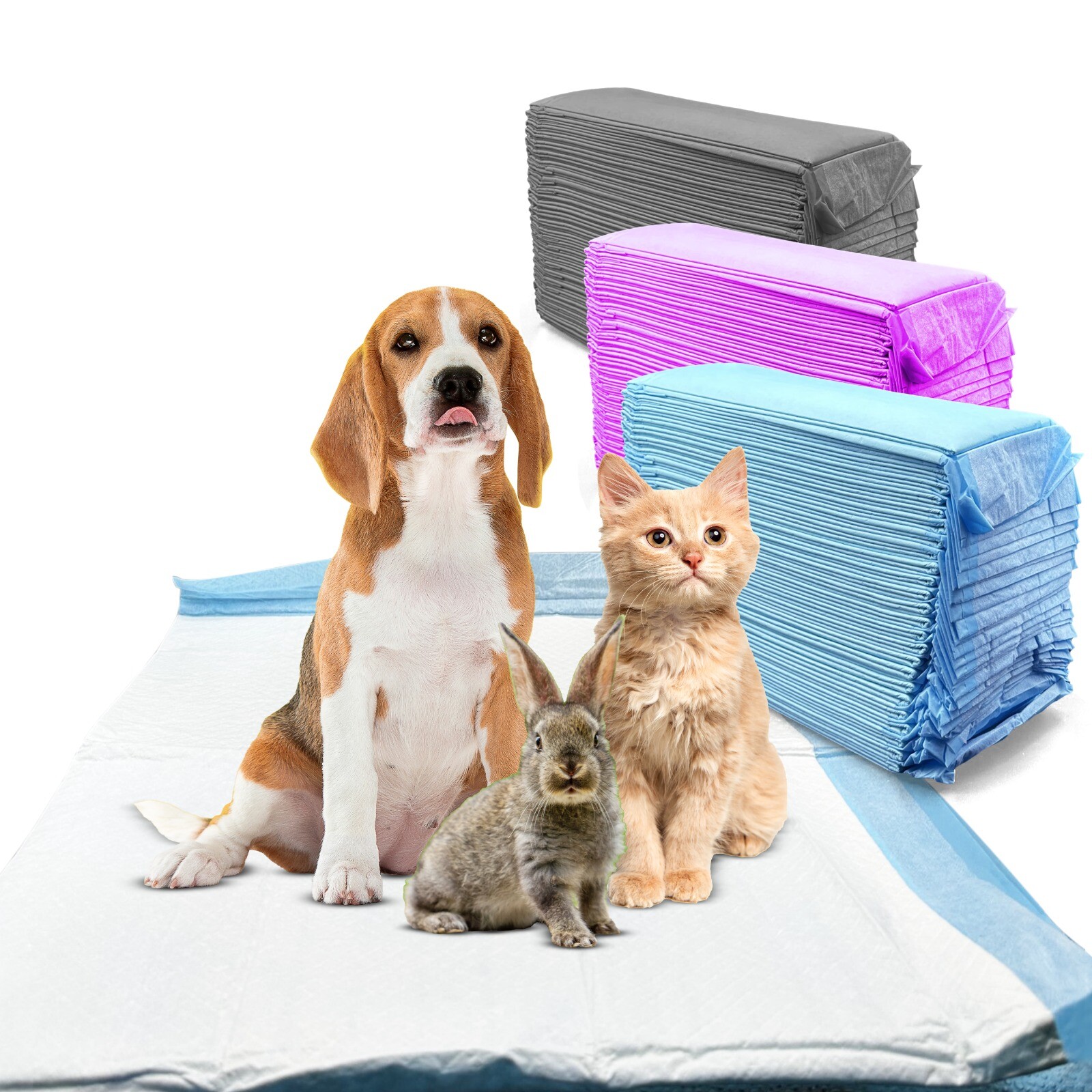 200 Pet Training Pads Ultra-Absorbent Pet Pads Housebreaking Underpads for Dogs