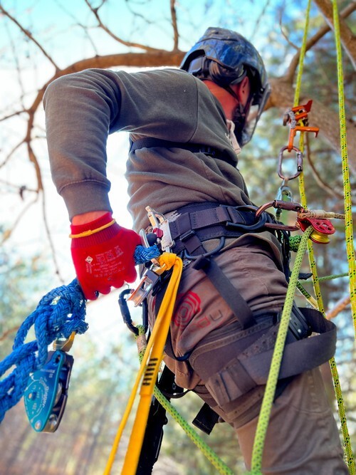 Rock Exotica Transporter XL Racking Harness Carabiner Tool Carrier C5-M-XL