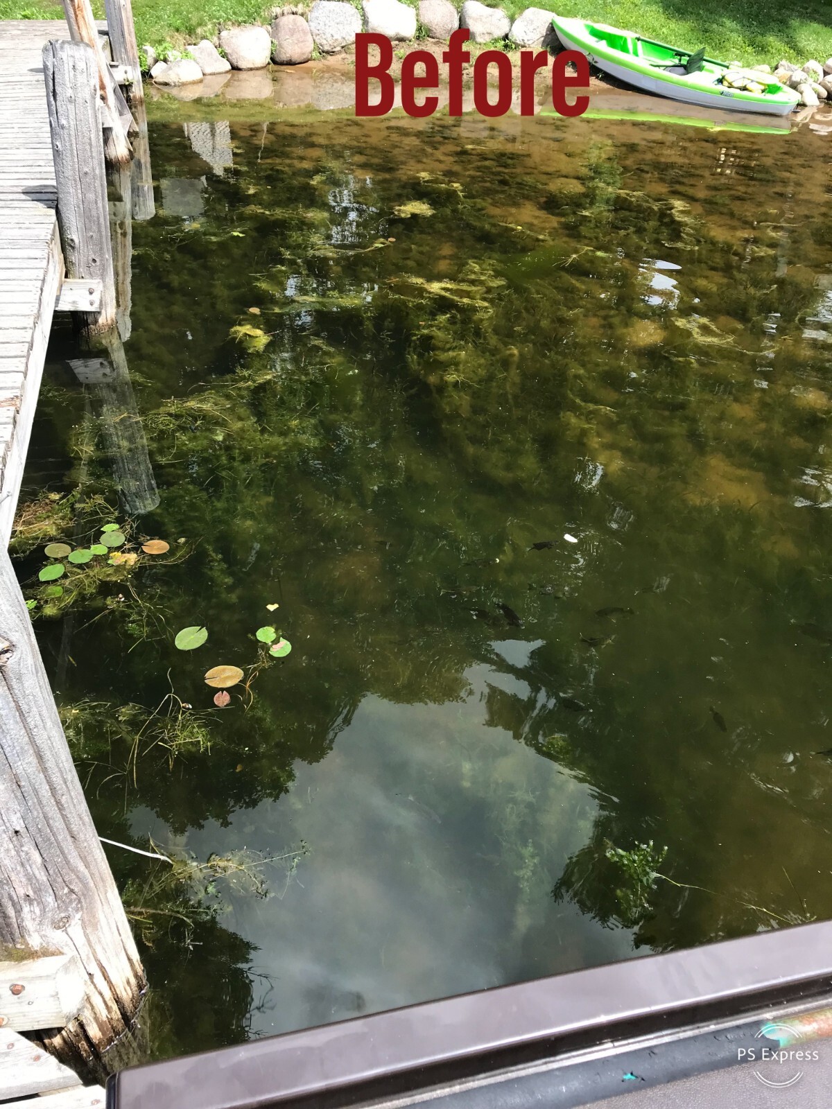 Beachroller - Lake Weeds and Muck Gone! SCRATCH & DENT SALE- SAVE $$$$!!