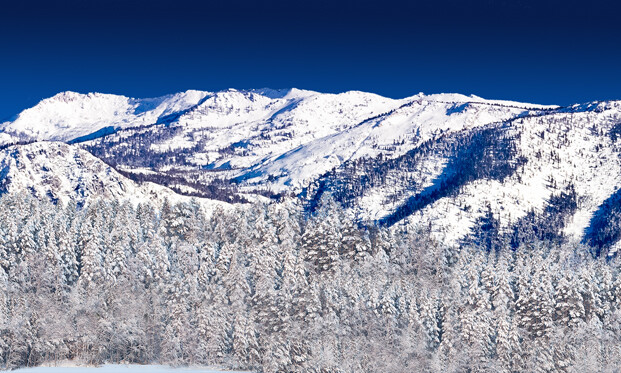 TrainJunkies Christmas North Pole