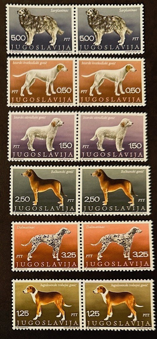 YUGOSLAVIA    Beautiful  Mint  NEVER  Hinged Pairs  DOGS