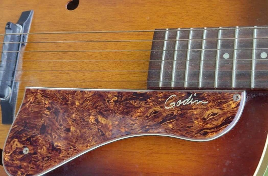 Godin 5th Avenue Kingpin Hollow body ACOUSTIC Guitar