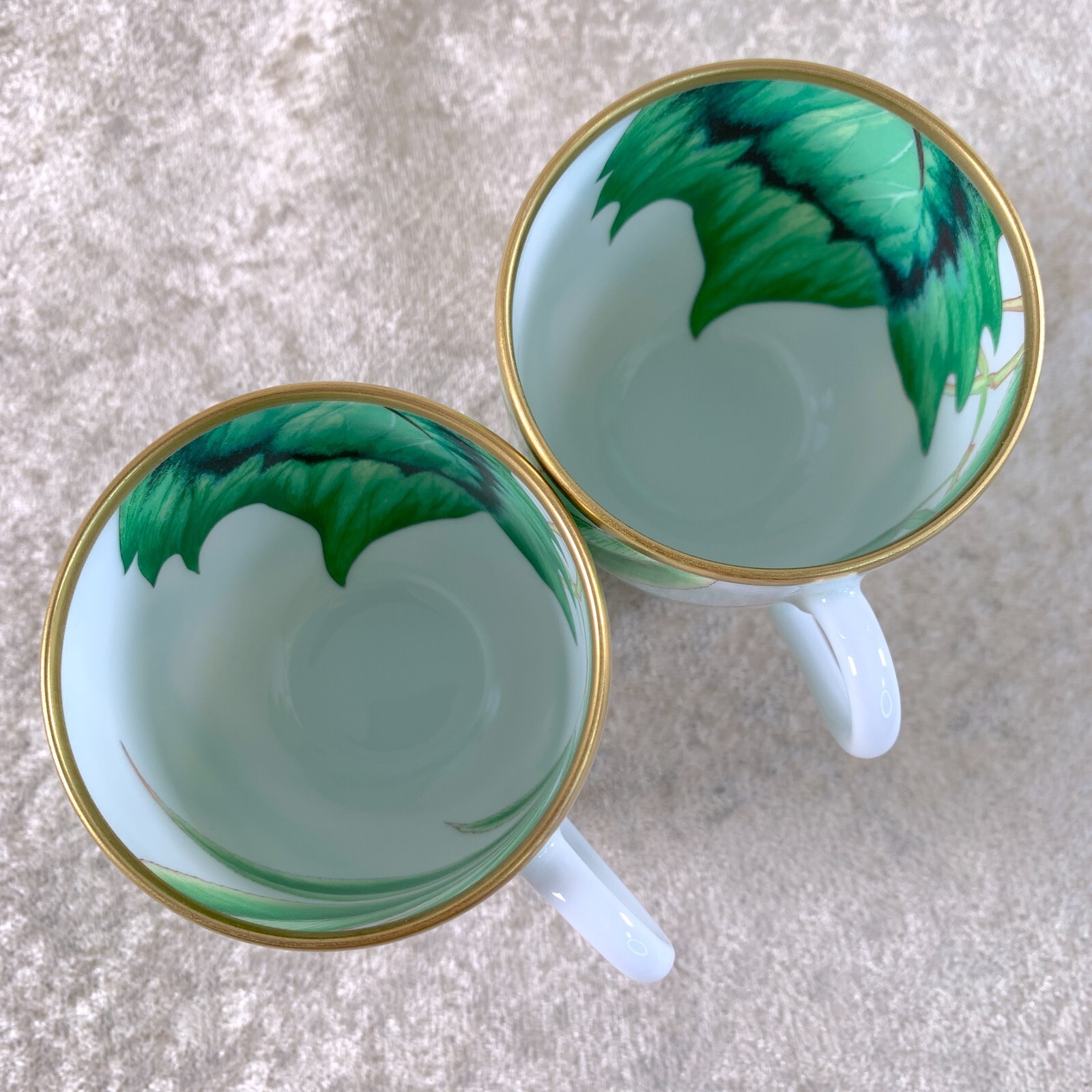 Hermes Demitasse Cup & Saucer Passifolia Porcelain Tableware Botanical 2 Sets