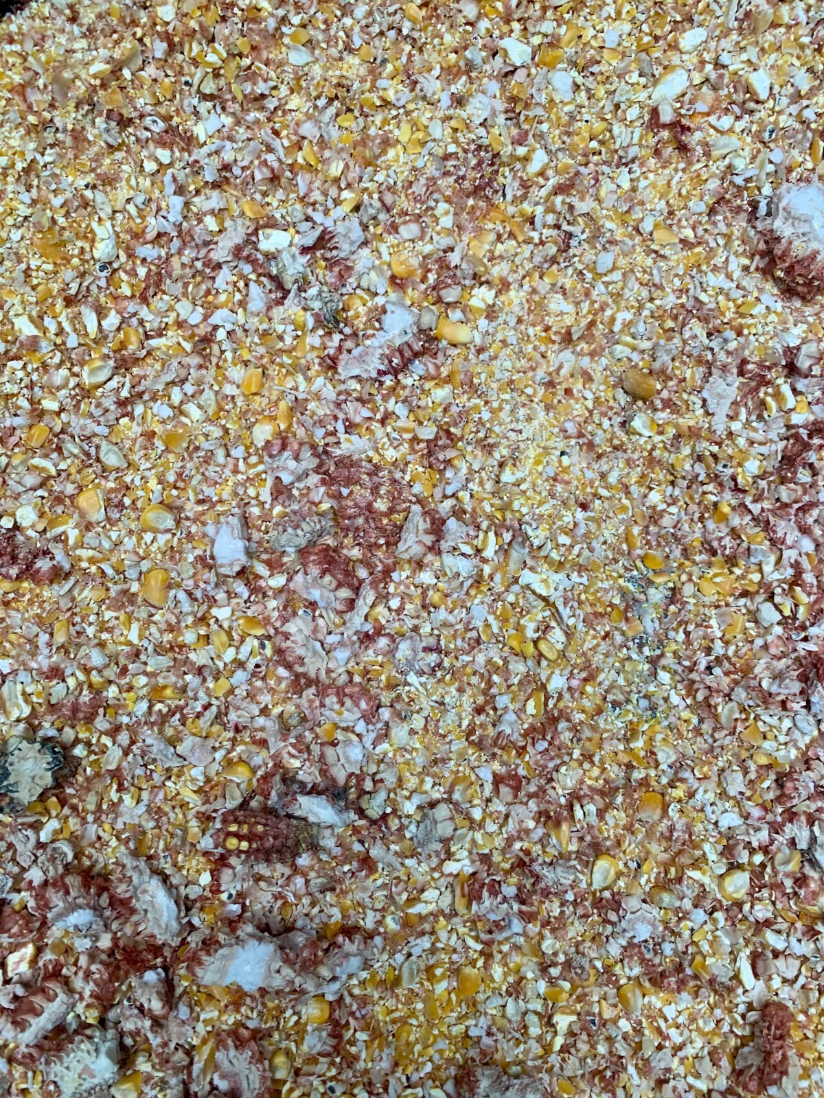 Cracked Corn Premium Chicken Scratch Turkey Bird Feed 15 lb Ship included