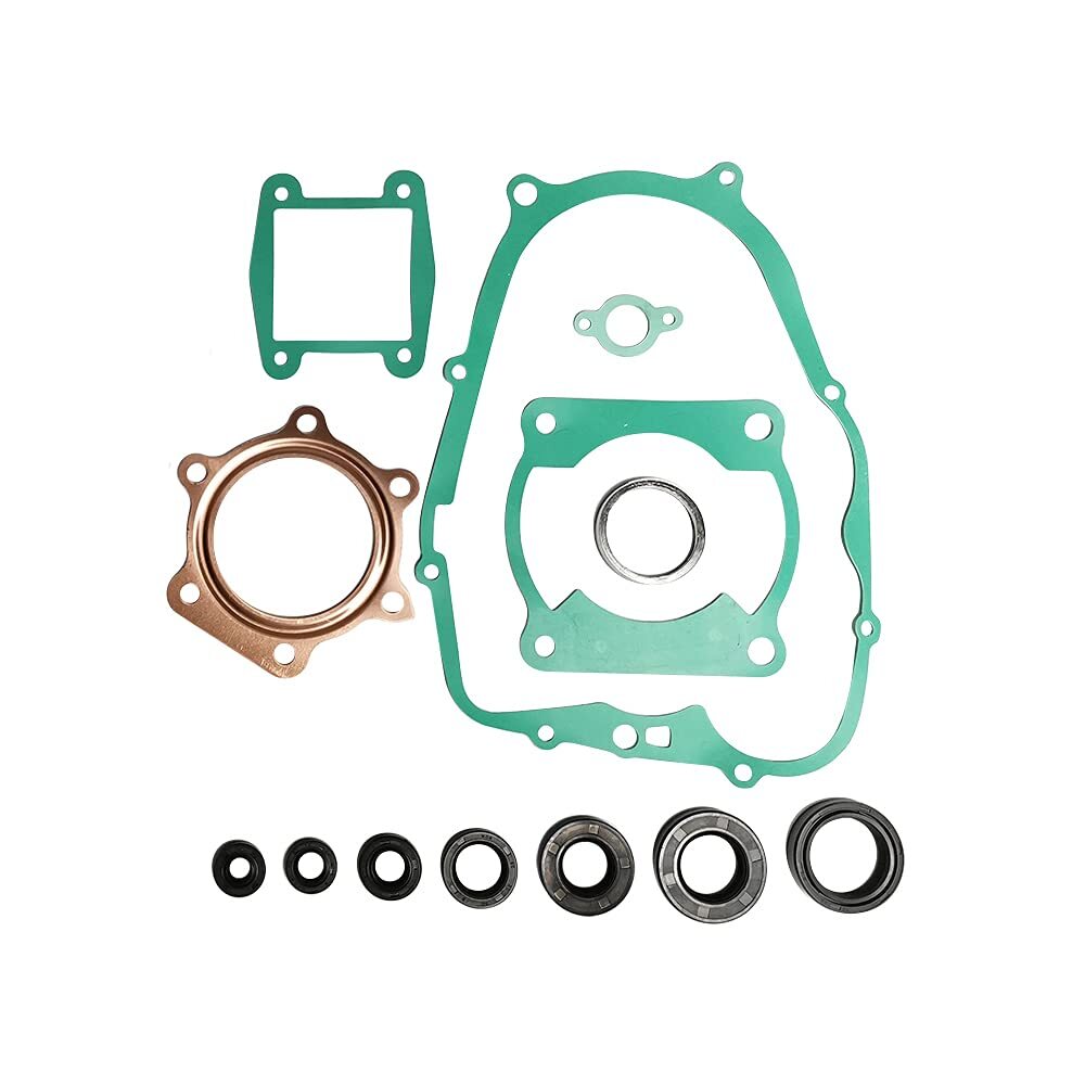 Engine Head Gasket Kit & Oil Seals for Yamaha Blaster 200 YFS200 1988-2006