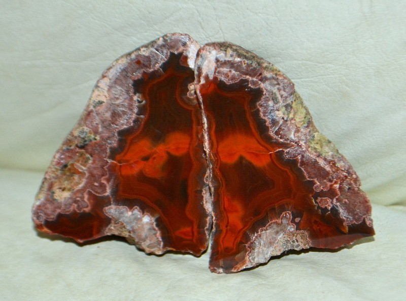 10 pcs Lot Pair Condor Agates from Argentina Wholesale Bulk *