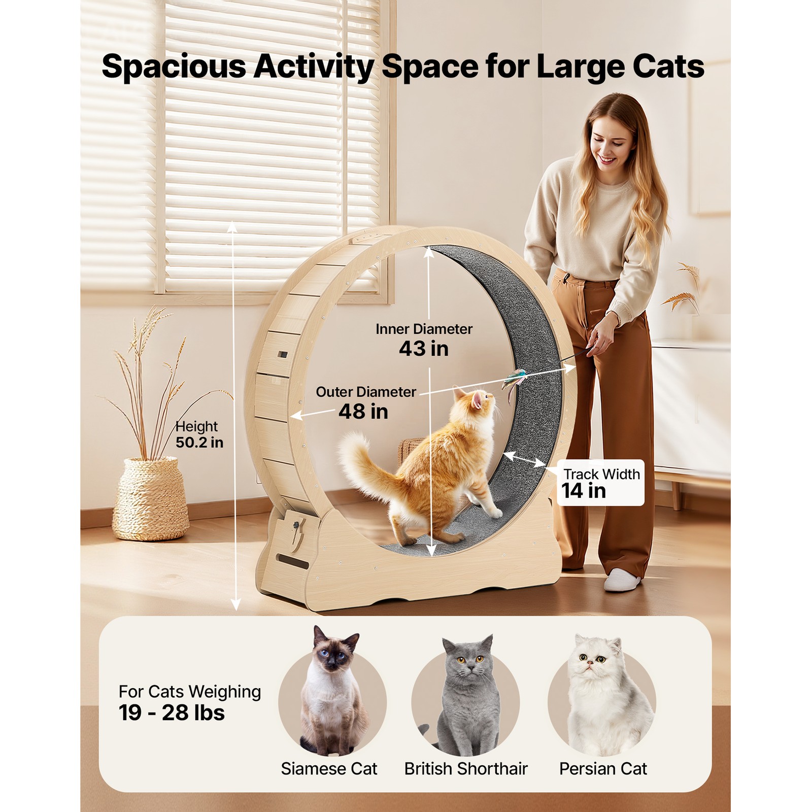 Uimoso 48-inch Wooden Cat Exercise Wheel with Carpeted Track for Indoor Use