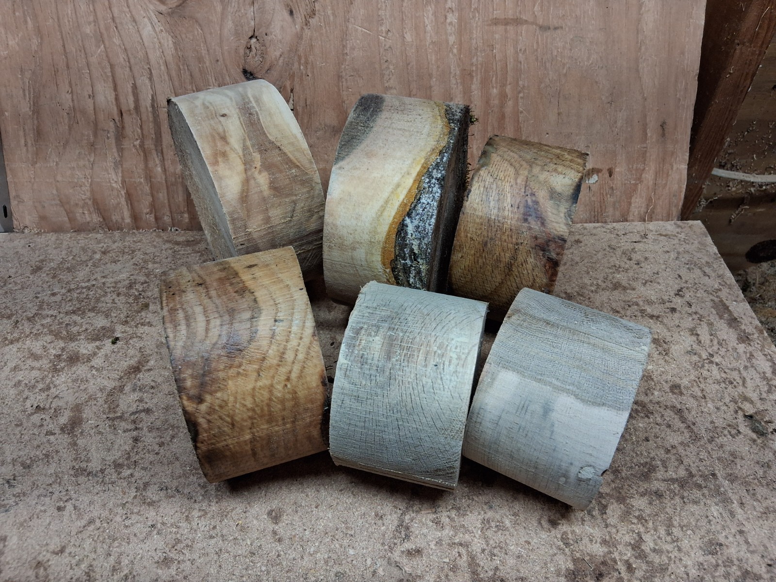 Black Walnut Pin Red Oak Silver Poplar Wood Turning Bowl Blanks 6pc