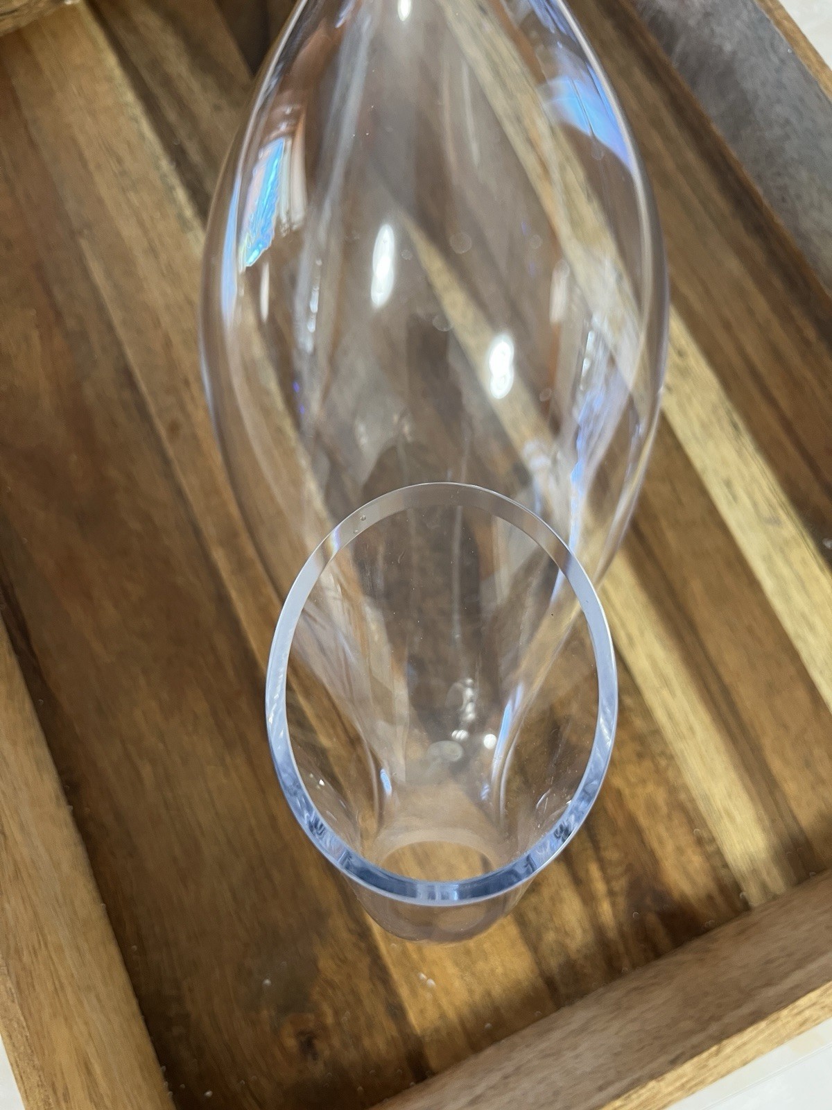 Riedel Decanter Double Spout 14" Goose Duck