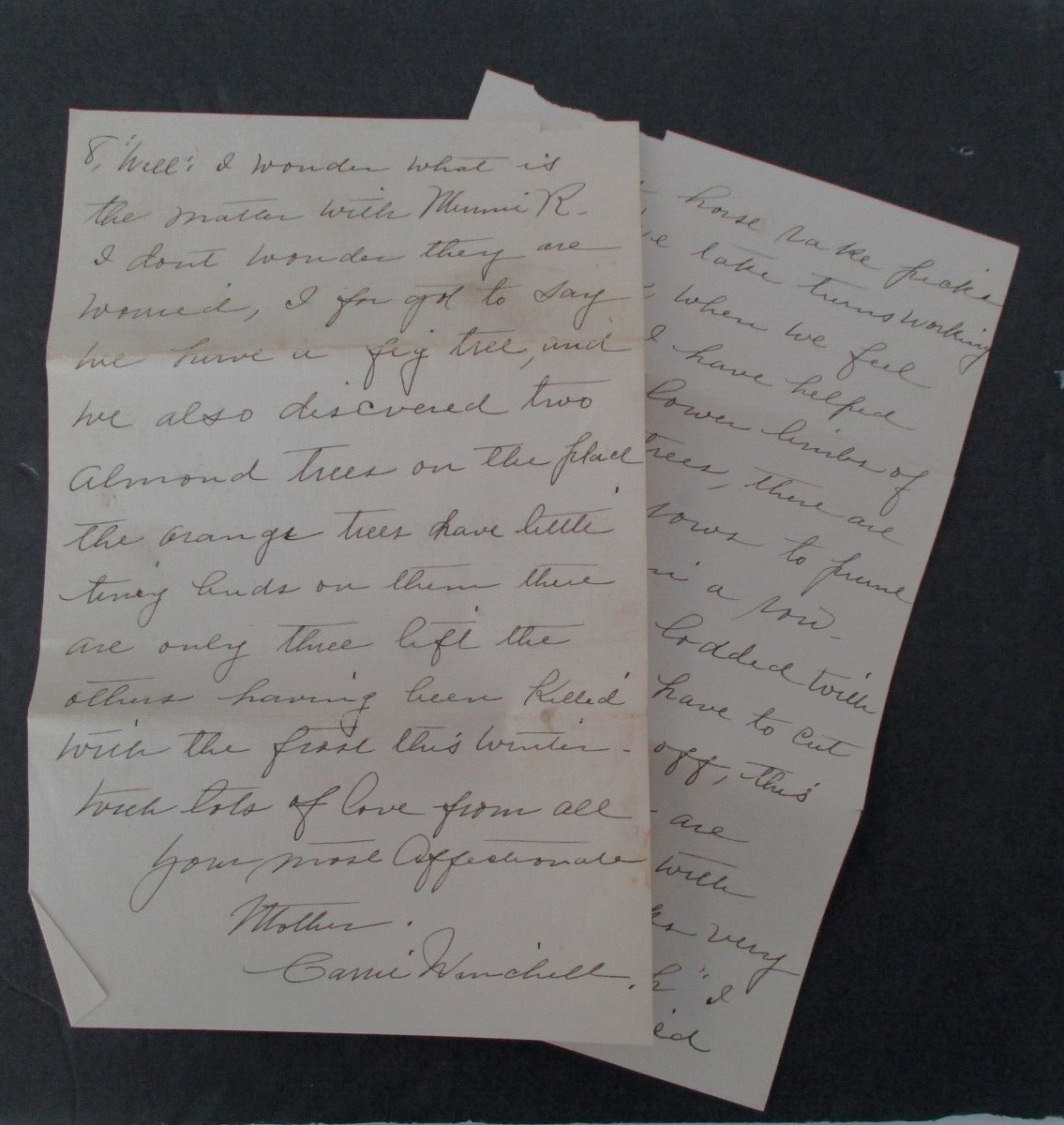 1924 Handwriiten Letter from Reedely (REEDLEY, CA), Peach Trees, Sowing Crops +