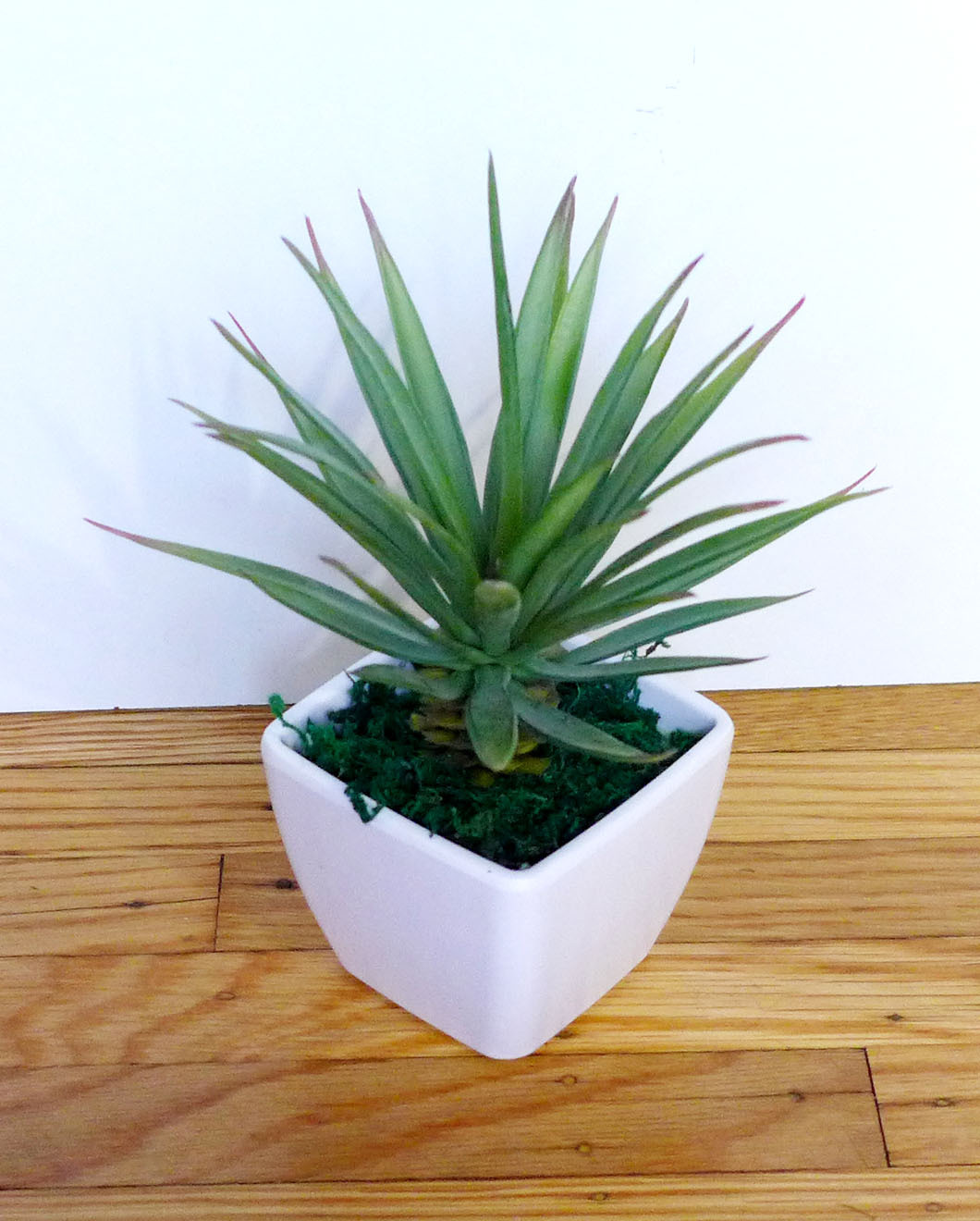 2 Agave Mini Grasses Artificial Desert Succulents Potted Plants With Pot