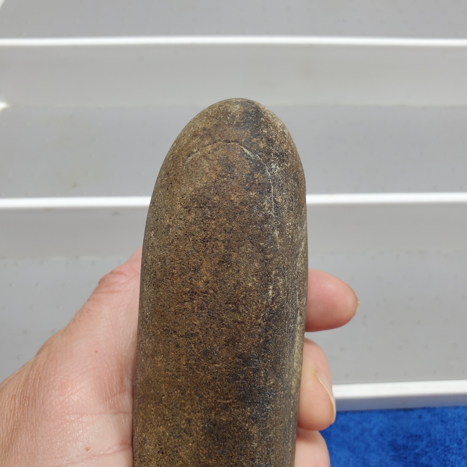 Celt Artifact 7" Indian Hardstone Club Polished Native Stone Tool Pennsylvania?