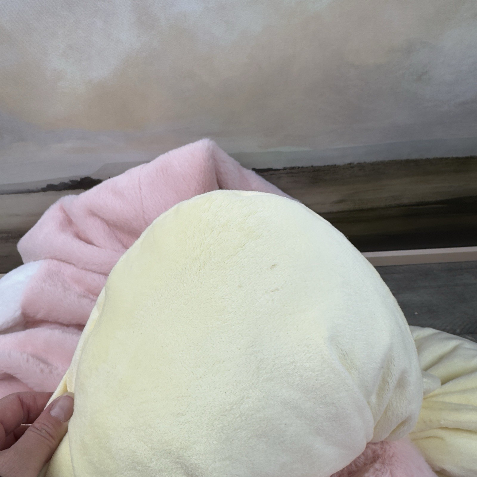 Pottery Barn Teen Hello Kitty & Friends My Melody Bean Bag Chair Slipcover Read