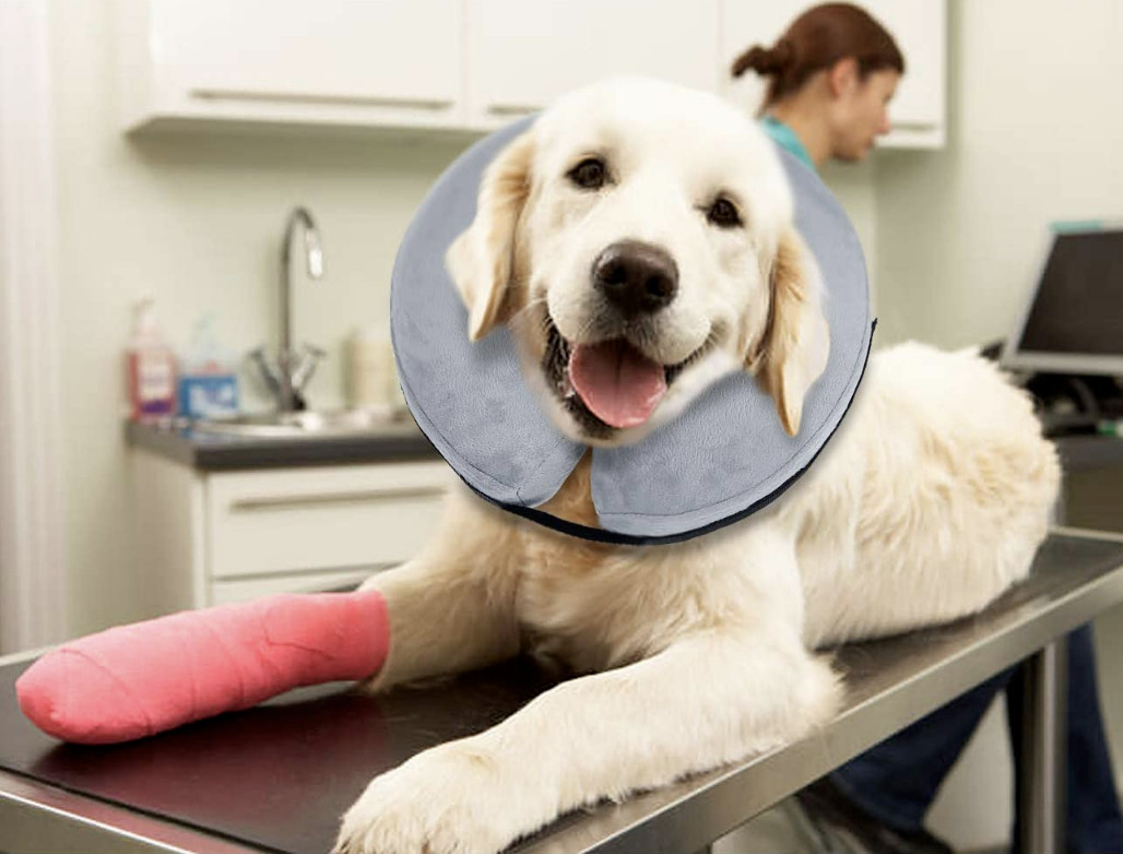 Dog Soft Inflatable Recovery Collar Cone Puppy Cat Pet Adjustable Gray  XS S M L