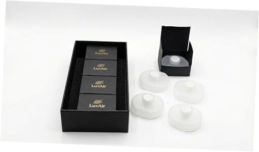 Empty Refill Cartridge Set of 4 for Car Diffuser | Reusable Replacement