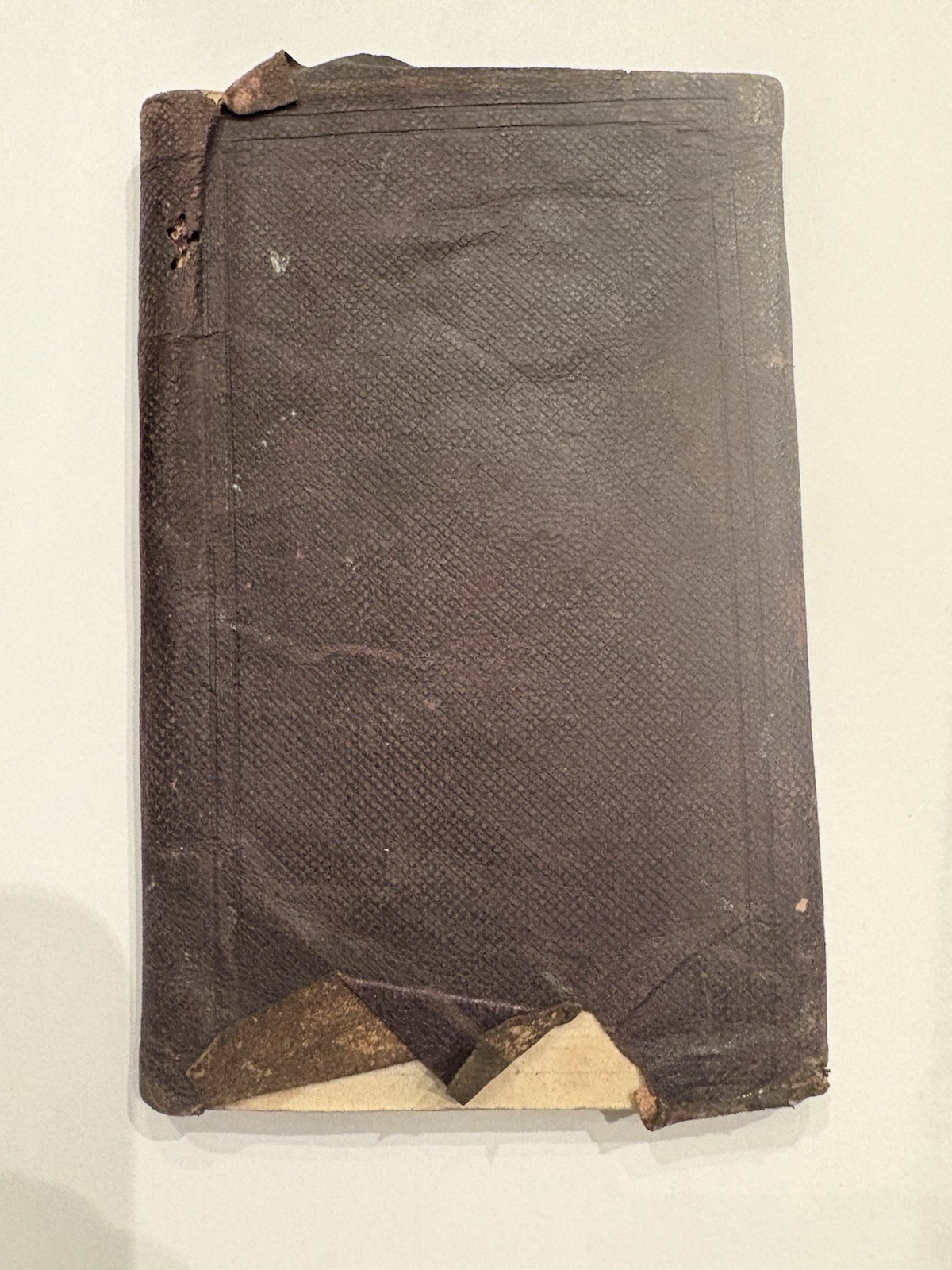 Excelsior Diary 1876 Hand Written Leather Rare Original