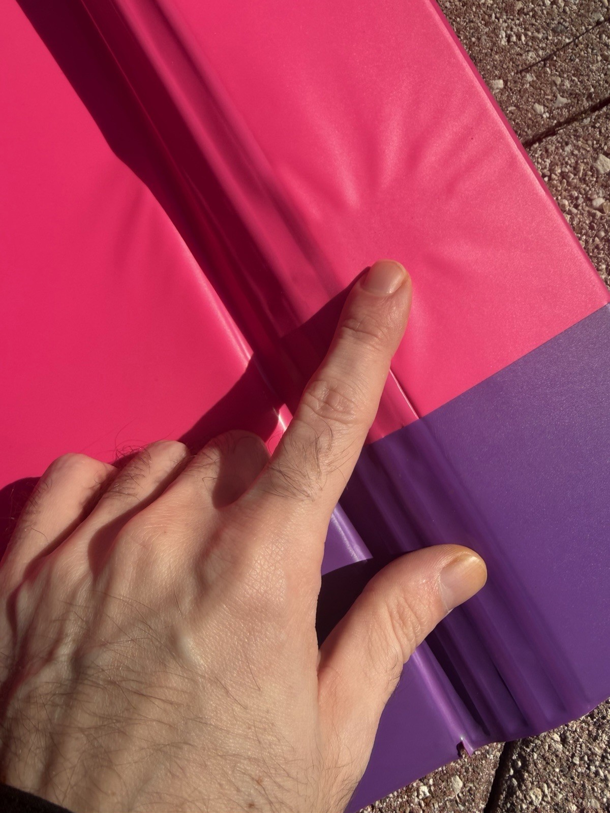 Vintage Lisa Frank Trapper Binder Cats Rare