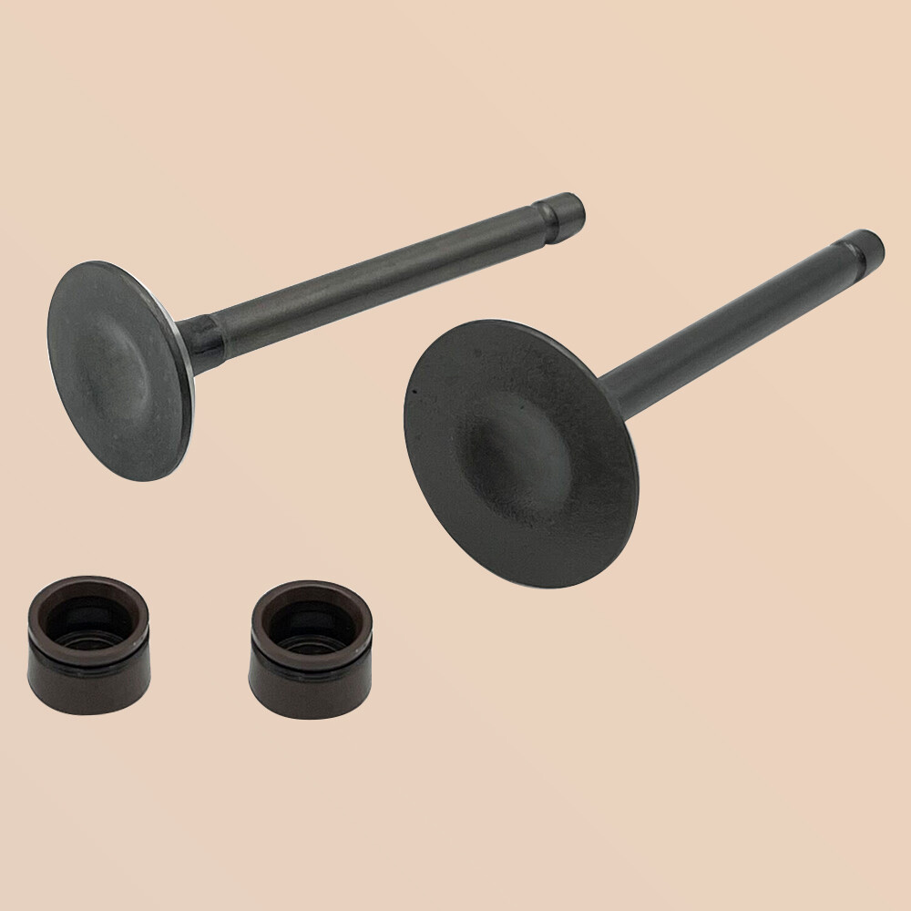 Engine Intake & Exhaust Valves for Yamaha TTR125 TTR125E TTR125EL 2000-2018