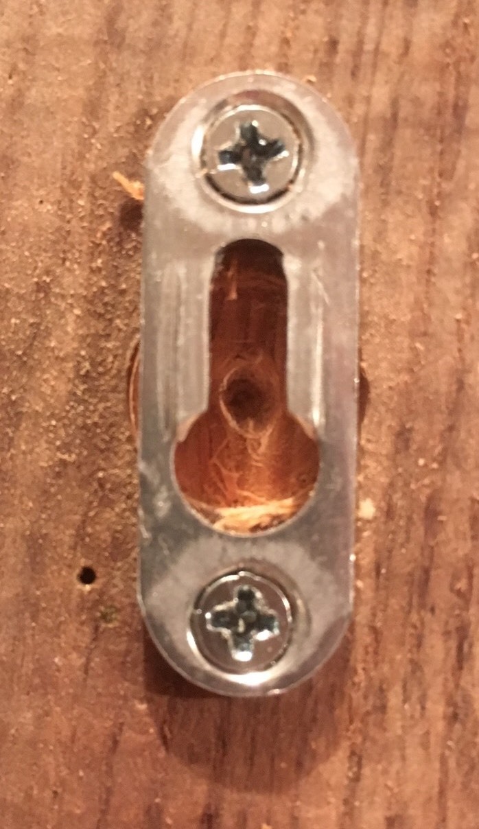 European Deer Skull Mount Wall / Table Pedestal Plaque Burned Pine Arrowhead