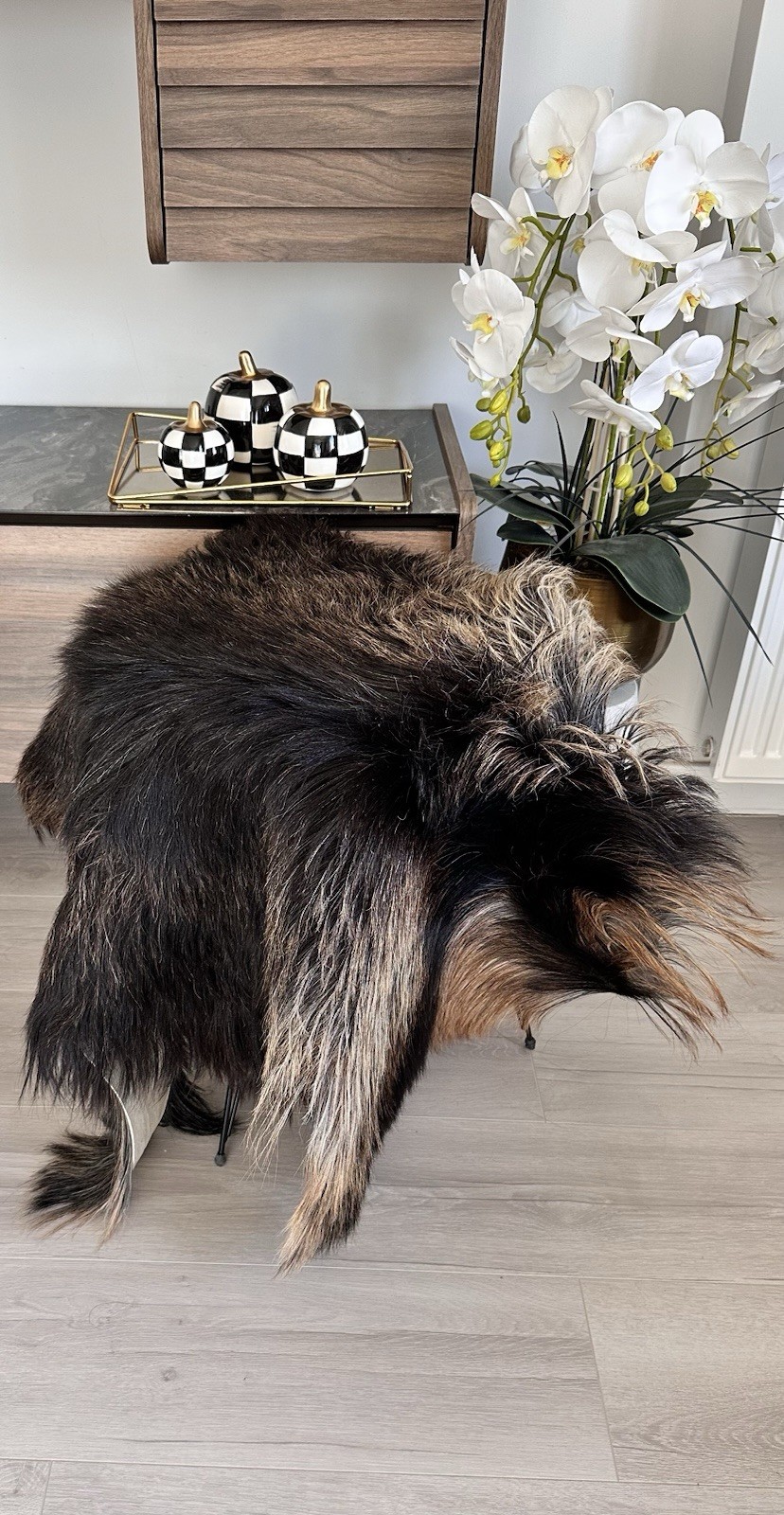 %100 Natural Goatskin Rug,goatskin Pelt,goatskin Carpet,Color,black.brown,camel