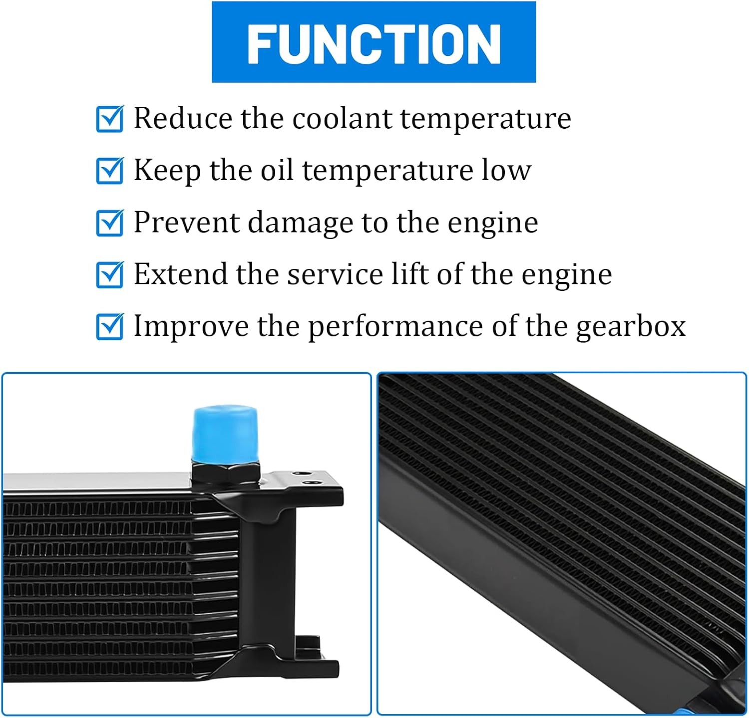 New 10 Row 10AN Aluminium Engine Transmission Oil Cooler Kit w/ 6AN 8AN Adapter