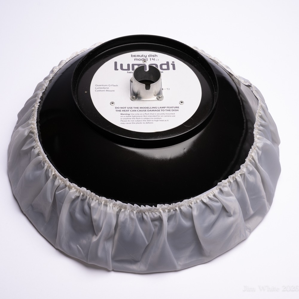 Lumodi Beauty Dish for Quantum Q-Flash With Carry Bag